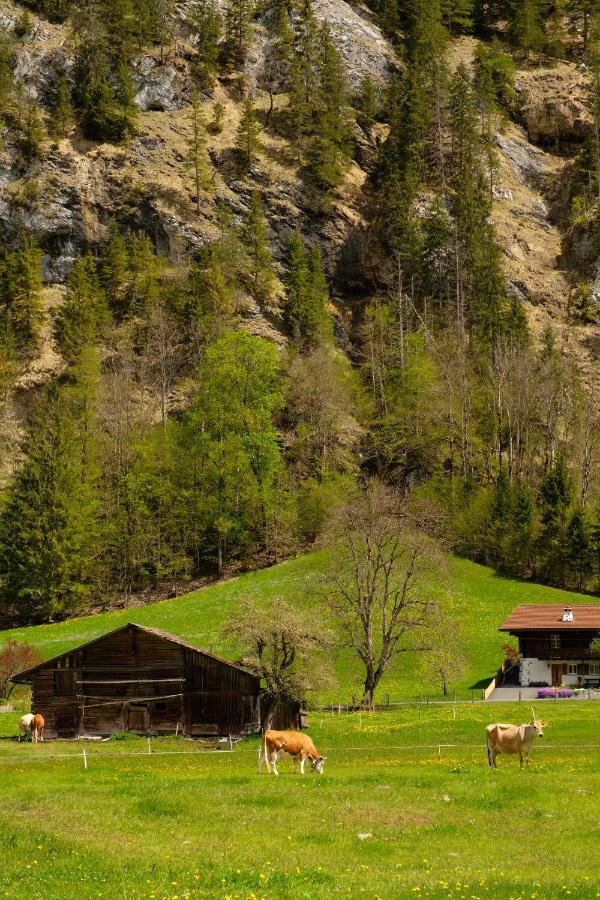 Hafod A Hendre Apartment Lauterbrunnen Exterior photo